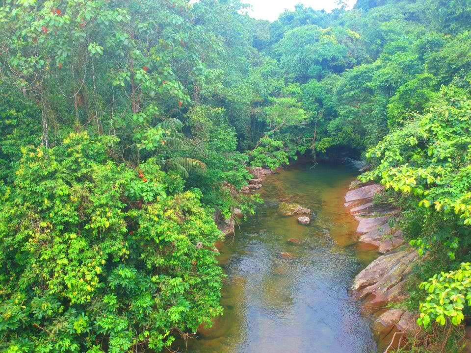Eco-Flats Cachoeira Azul 파라티 외부 사진